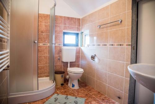 a bathroom with a toilet and a shower at Pensiunea Ingrid in Ranca