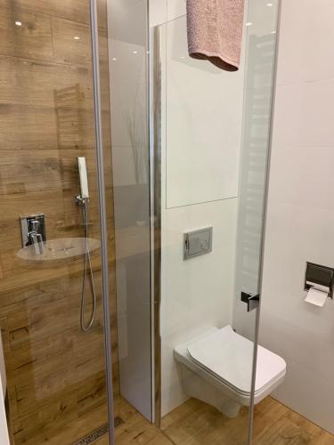 a bathroom with a toilet and a sink at Grey apartment 50 m2 in Tarnowskie Góry