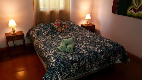 a bed with two green pillows on it with two lamps at Uka Vaikava in Hanga Roa