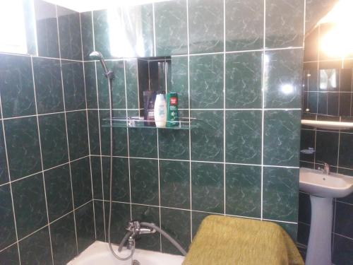 ein grün gefliestes Bad mit einem Waschbecken und einem WC in der Unterkunft Smile Cluj in Cluj-Napoca
