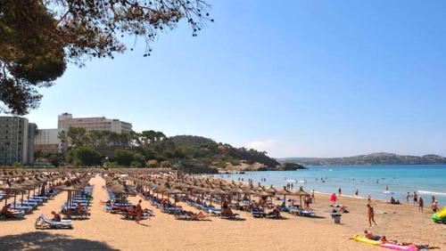 Playa en o cerca de de la casa de huéspedes