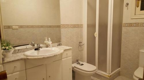 a bathroom with a sink and a toilet and a shower at Apartamento calle Sainza 2 in Ourense