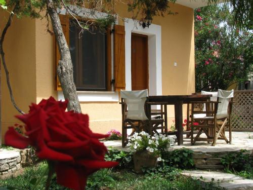 Zahrada ubytování Lysistrata Bungalows