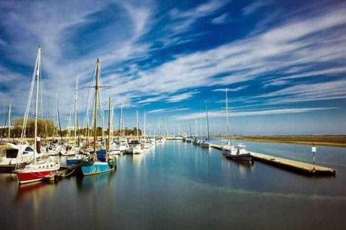 a bunch of boats are docked in a harbor at Varandas da Barreta in Olhão