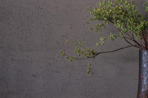 a plant in a vase next to a wall at Yakamoz Erhai Hotel in Dali