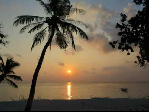 a sunset on a beach with a palm tree at SMILE HOME GUESTHOUSE in Rayong