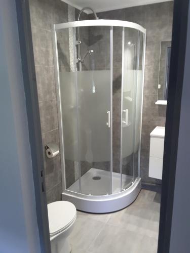 a bathroom with a shower and a toilet at Hotel Restaurant Calypso, à 10 m de la plage in Fos-sur-Mer