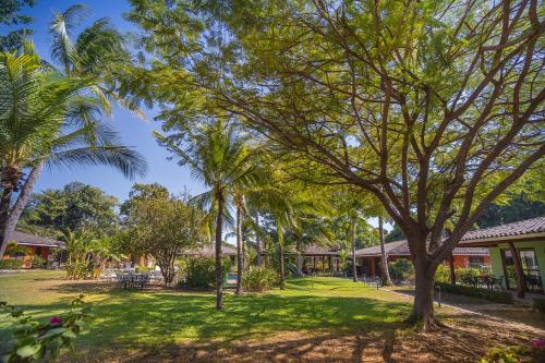 a park with palm trees in front of a house at Hotel Bahia Esmeralda in Potrero