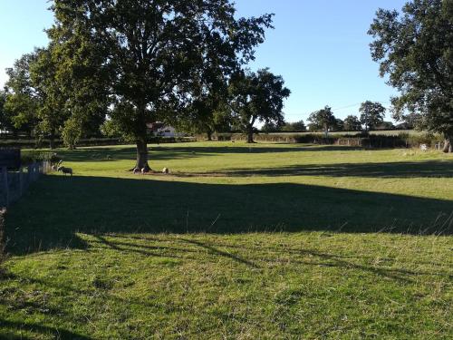 Foto dalla galleria di Maison à la ferme a Saint-Aubin-le-Monial