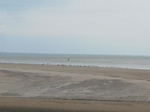 a beach with a green object in the ocean at L'ENTRE 2 COTES in Le Tréport