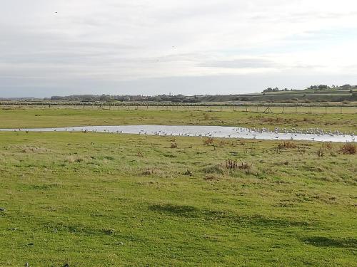 un campo con una masa de agua en un campo en L'ENTRE 2 COTES, en Le Tréport