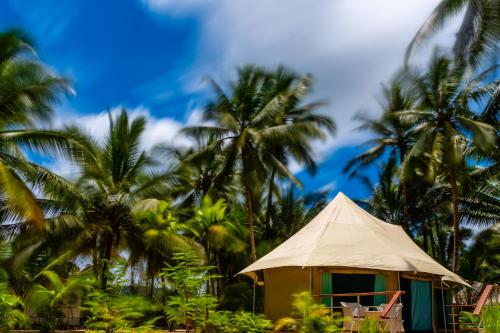 a hut with a thatched roof in front of palm trees at Canvas & Orchids Retreat in Tatai