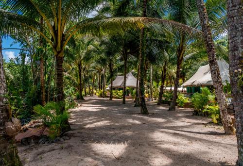 a row of palm trees on a beach with umbrellas at Canvas & Orchids Retreat in Tatai