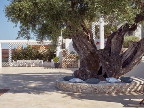 a tree with rocks around it in a courtyard at PanoPlagia Villa in Agios Nikolaos