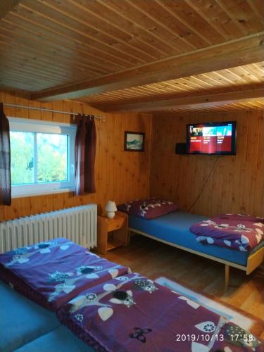 a bedroom with two beds and a tv on the wall at Pension Panorama in Tanvald