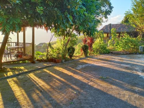 a driveway with trees and a house in the background at Dao Homestay in Hoàng Su Phì