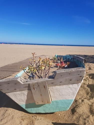 a wooden boat with plants in it on the beach at Sol y Sombra Apartamento con entrada independiente in Isla del Moral