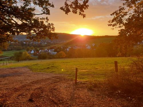 a sunset over a field with the sun setting in the distance at Andinas Ferienwohnung in ruhiger Lage direkt am Wald in Wilnsdorf
