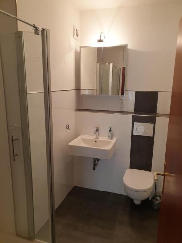 a bathroom with a sink and a toilet and a mirror at Andinas Ferienwohnung in ruhiger Lage direkt am Wald in Wilnsdorf