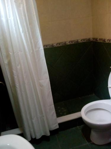 a bathroom with a shower curtain and a toilet at CASA BALCARCE in Balcarce