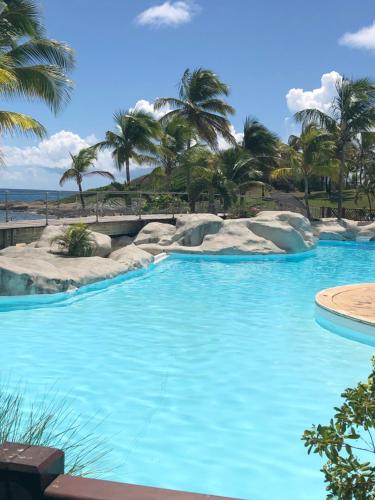 a swimming pool with blue water and palm trees at Ti-Colibris in Saint-François