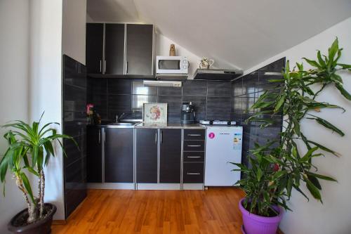 a kitchen with black cabinets and a white refrigerator at Nana Tekija in Tekija