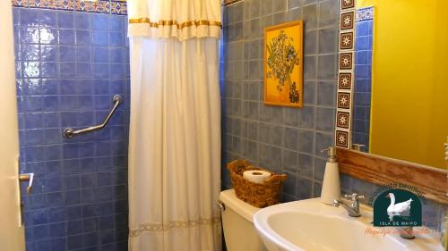 a bathroom with a shower curtain and a toilet and a sink at Alojamiento Rural Casa Quinta Peumayen in Isla de Maipo