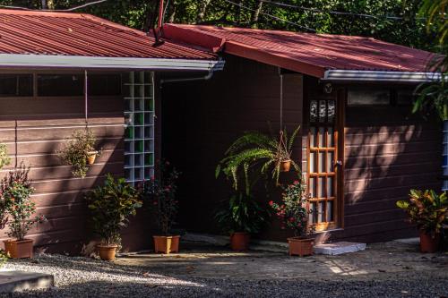 a house with a red roof and a porch with plants at La Uvita Perdida in Uvita