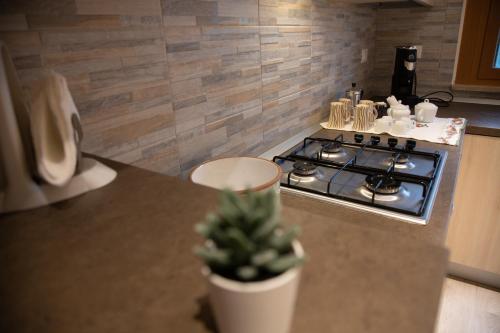 una cucina con piano cottura e un bancone con una pianta in vaso di B&B Miramare Suite a Taranto