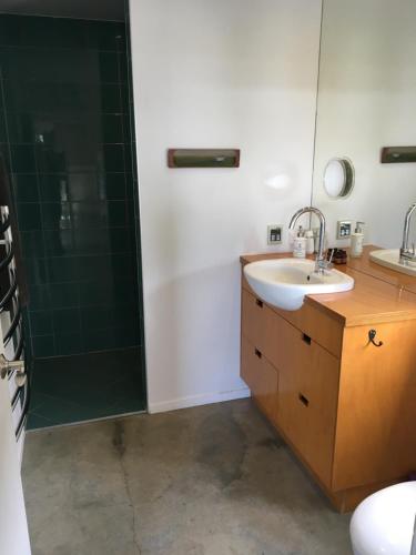 a bathroom with a sink and a shower at The Black House with Stunning Outdoor Bath in Lake Tekapo