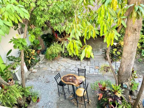 Κήπος έξω από το Hostal Casa Huasteca