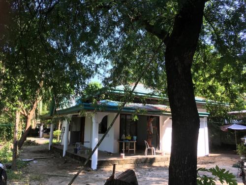 Taman di luar Bolinao Transient House B