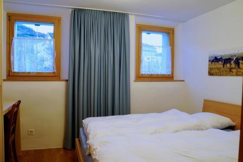 una camera con un letto e due finestre di Chasa Anna a Scuol