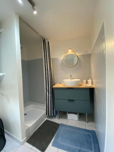een badkamer met een wastafel en een douche bij Charmante maison de campagne, 10 min d Aubusson in Saint-Marc-à-Frongier