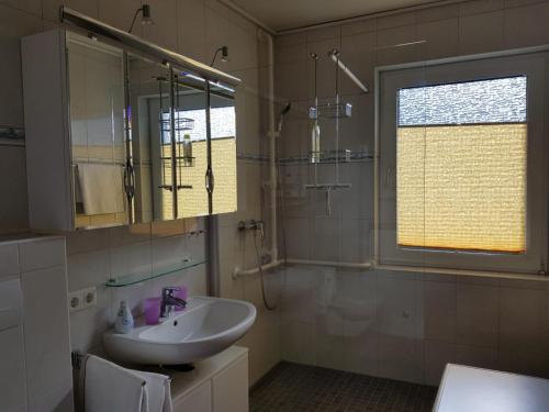 ein Bad mit einem Waschbecken, einer Dusche und einem Spiegel in der Unterkunft Gartenblick in Oldenburg