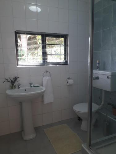 a bathroom with a sink and a toilet and a shower at Field's Rest in Port Elizabeth
