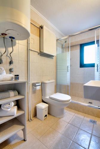 a bathroom with a toilet and a shower and a sink at PanDora Apartments in Moúdhros