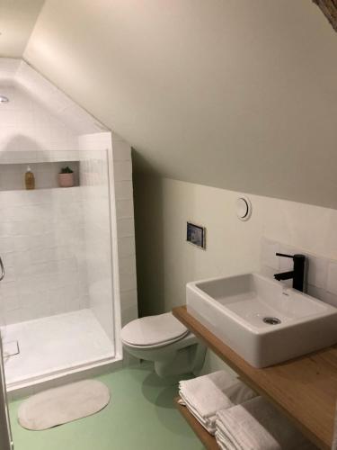 a bathroom with a sink and a toilet and a shower at Lichtrijke loft bij restaurant Den Olifant in Ypres