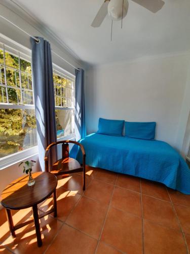 a bedroom with a blue bed and a chair at Paradiso Guesthouse & Self-catering Cottage in Cape Town