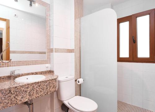 a bathroom with a toilet and a sink and a mirror at EnjoyGranada CARLOS CANO I in Granada