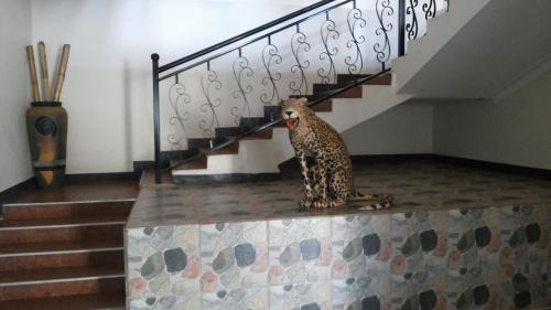Gambar di galeri bagi Westcliff Hotel di Lira