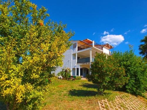 Apartment Dusko 780