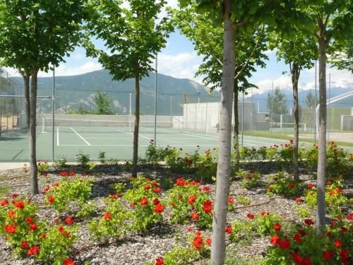 a garden with a tennis court and flowers at APARTMENTSUITESPAIN FORMIGAL ORDESa in Sabiñánigo