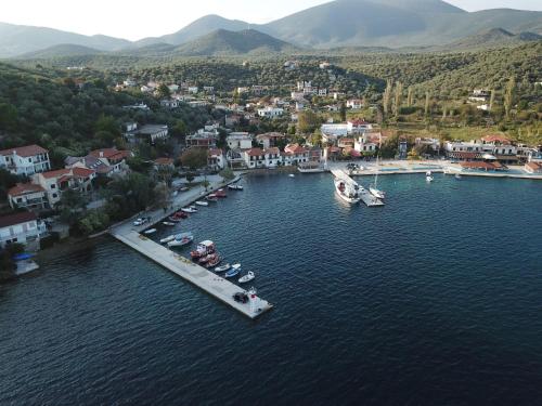 an aerial view of a harbor with boats in the water at Haus Pigadi in Pteleós