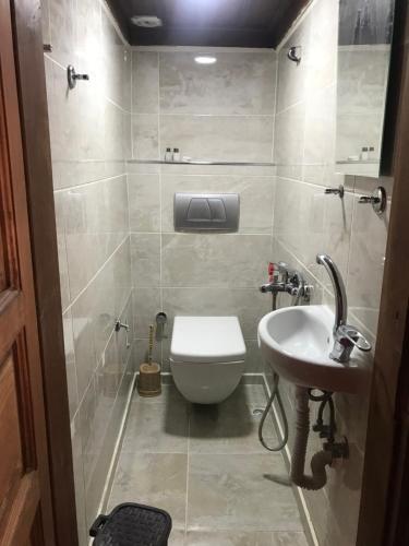a bathroom with a toilet and a sink at Çamlıca Konak Çarsı in Safranbolu