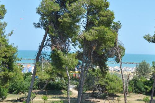 Gallery image of Hotel La Ninfea in Montesilvano