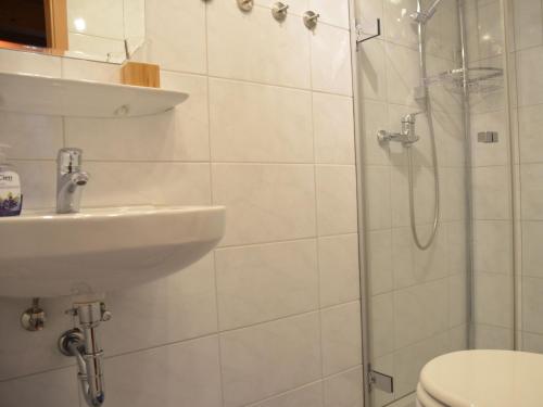 a bathroom with a shower and a sink and a toilet at Ferienwohnung Thelen in Wallbach