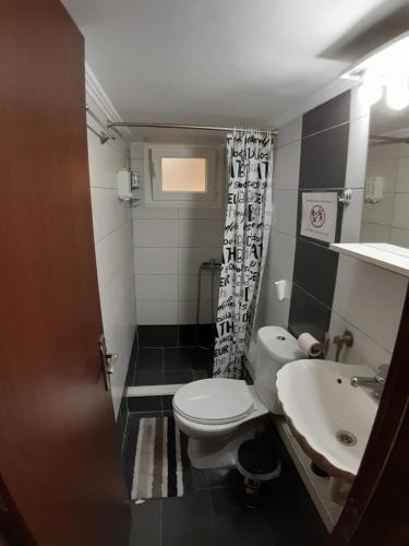 a small bathroom with a toilet and a sink at Kosta's Apartment 1 in Thessaloniki