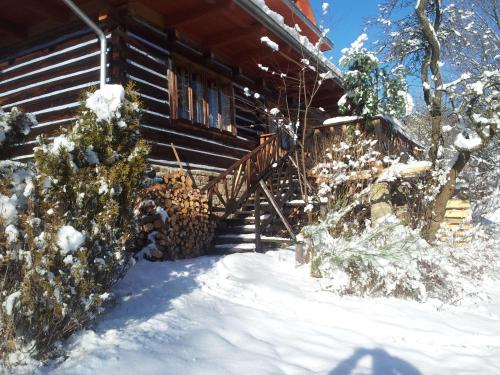 Chałupa z widokiem w górach