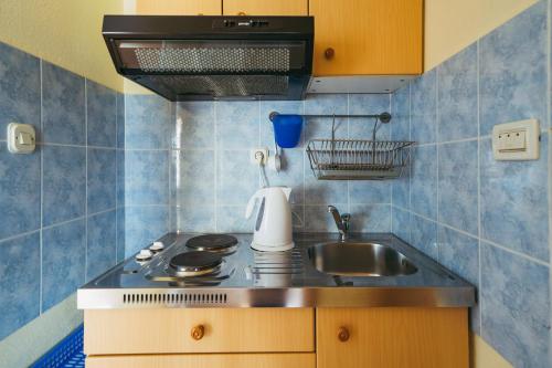 een kleine keuken met een fornuis en een spoelbak bij Villa Promajna 5 in Promajna